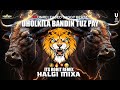 Dholkila bandhin tuz pay edm halgi mix rohit remix unreleased saggy beatz