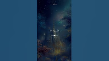 ﴿رَبَّنَا آمَنَّا فَاغْفِرْ لَنَا وَارْحَمْنَا﴾ | تلاوة مؤثرة تدعو للرحمة #إسلام_صبحي #تلاوة_خاشعة