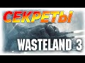 ПЯТЬ СЕКРЕТОВ WASTELAND 3 | ShowGamer