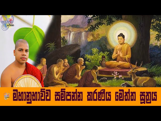 karaniya metta suthraya | seth pirith |damsilu TV | udalamaththe nandarathana thero class=