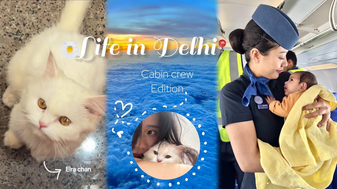 Жизнь в Дели 📍 — выпуск Cabin Crew ✈️✈️✈️ | #vlog #cabincrew #arunachalpradesh