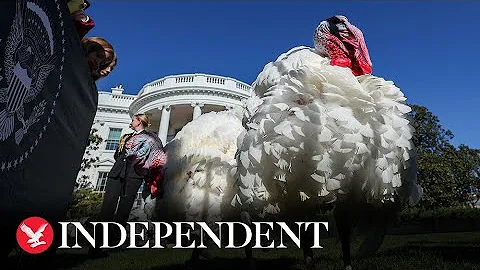 Watch again: Joe Biden pardons Thanksgiving turkey at the White House