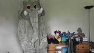 Suiting Up With Triple D Episode 1 - Paradise Elephant