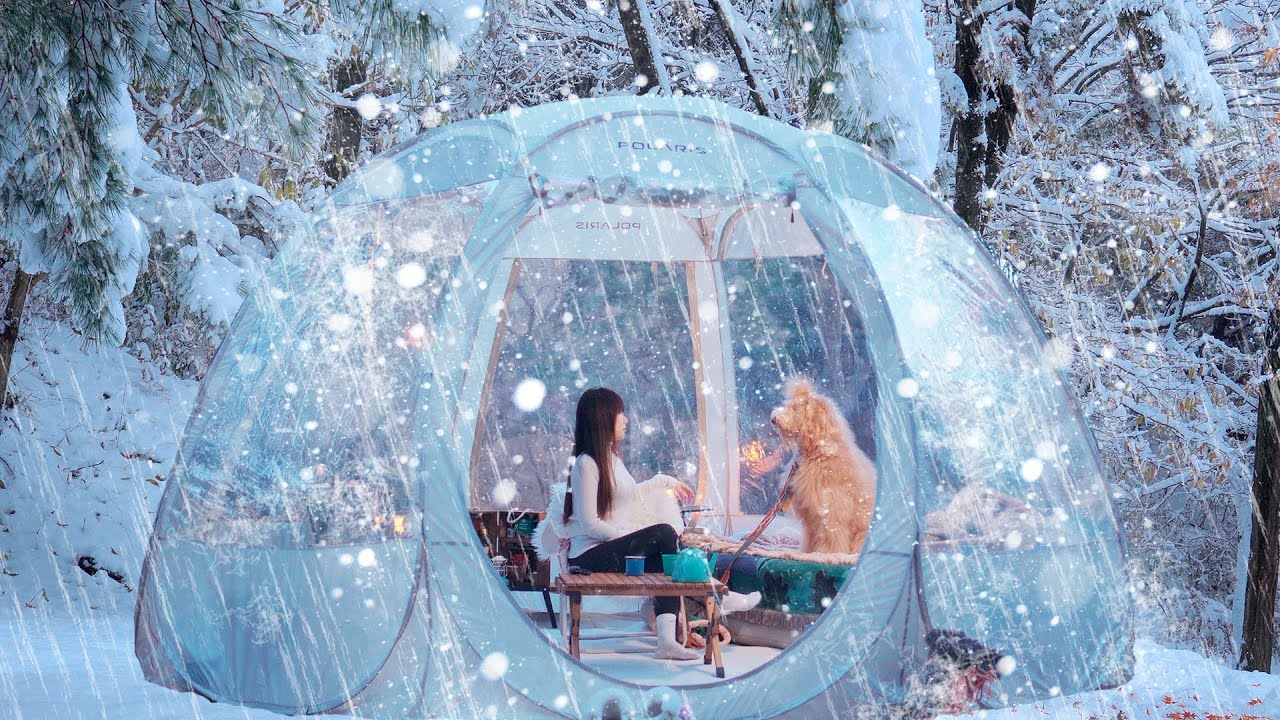 ❄Кампинг в тяжелый снег/Снегопад кемпинг с собакой в снежном лесу в течение 24 часов/Дождь звук ASMR