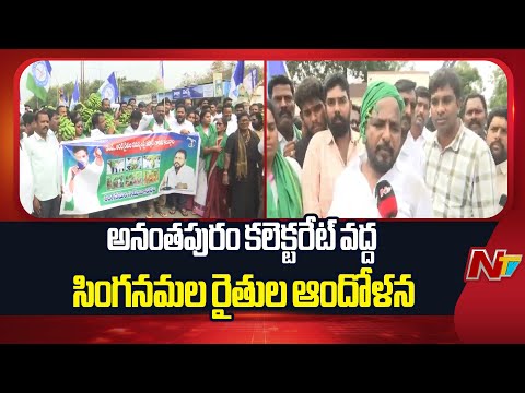 Singanamala Banana Farmers Protest At Ananthapur Collectorate | NTV Telugu - NTVTELUGU