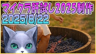 マイクラ肝試し2025ロビーサーバー制作＃33