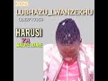 LUBHAZU LWANZEKHU HARUSI YA MAKOYE 2025 0682719359 