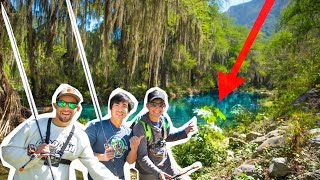 Fishing HIDDEN CREEK in Mexican MOUNTAINS! (Surprising Catch)