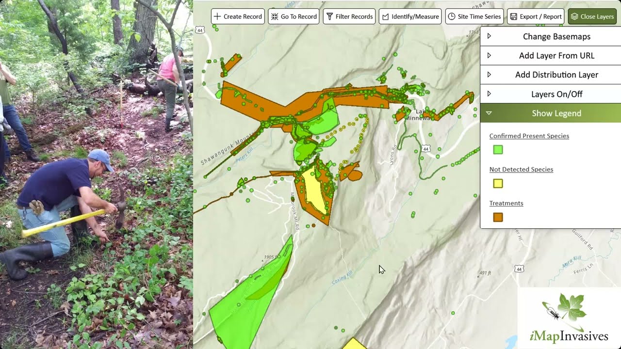 Visualizing Invasive Species Management Outcomes