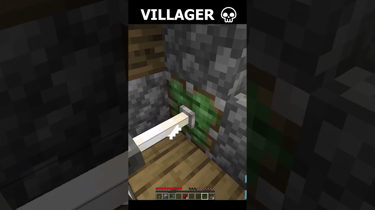 Il Villager NON meritava tutto ciò.. 💀 (non aprire il suono!)