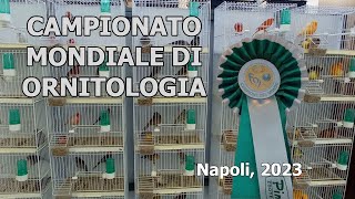 Campionato mondiale di ornitologia  Napoli 2023