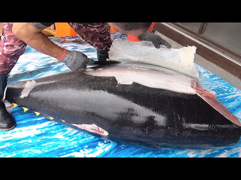 Superb Scales Scraping Skills/Bluefin Tuna/Marlin/Salmon in Taiwan