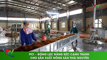 PCI – Động lực nâng sức cạnh tranh cho sản xuất nông sản Thái Nguyên
