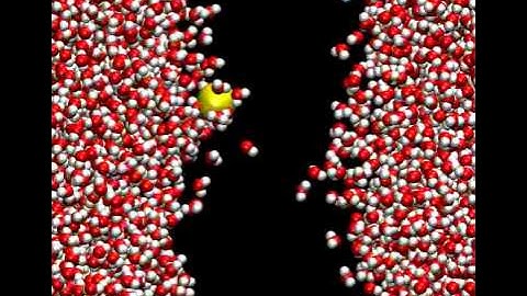Water-defect-mediated permeation of an ion through a cell membrane