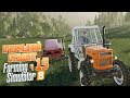 Farming Simulator 19 - Cоединили поля - сколько получили тюков?