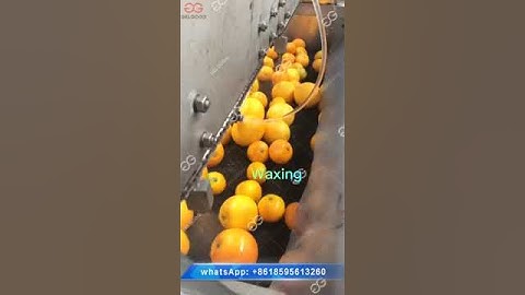 Industrial Fruit Washing Sorting Line