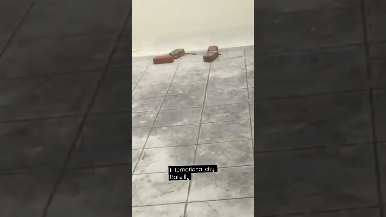 Competent International city Bareilly | 