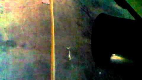 Short video of DOHC ZC idleing Colt Tri Flow II Cams