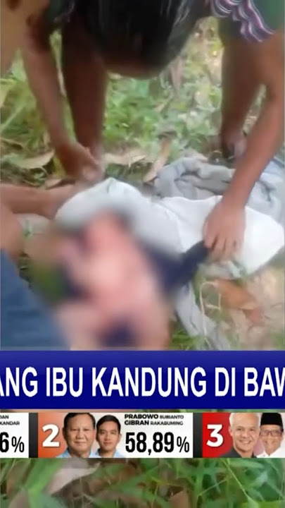 Viral! Bayi Dibuang Ibu Kandung Di Bawah Pohon