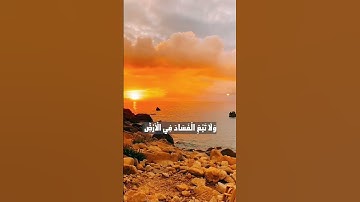 تلاوة ممتعة للآية 77 من سورة القصص