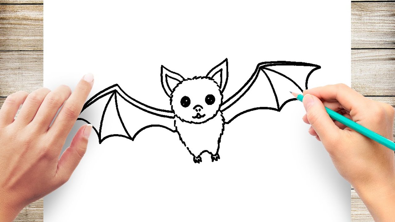 Bat Drawing Tutorial  How to Draw a Cute Bat Easy Outline Step by Step   YouTube