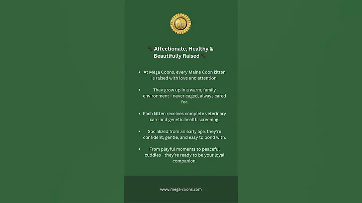 Video 11837811: maine coon kitten, kitten home