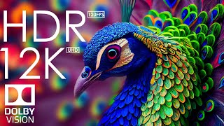 Download Lagu 12K HDR 120fps Dolby Vision with Calming Music (Animal Colorful Life) MP3 Download Lagu 12K HDR 120fps Dolby Vision with Calming Music (Animal Colorful Life) MP3