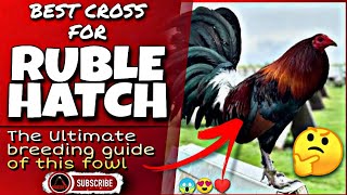 Some of the great combination of this ruble hatch chicken.
