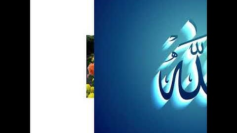 زكريا طرابلسي ما تيسر من سورة النحل