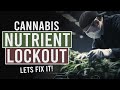 Nutrient Lockout: Prevention & Treatment!