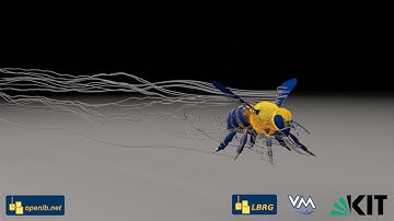 LES of a Flying Bee with LBM Using OpenLB – Simulations in Process Engineering
