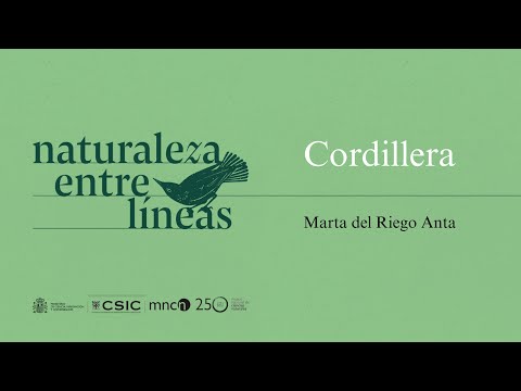 'Cordillera' - Marta del Riego Anta