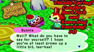 Groundhog Day, Rare Fish! and Spring!  Animal Crossing Population Growing (Gamecube) Play