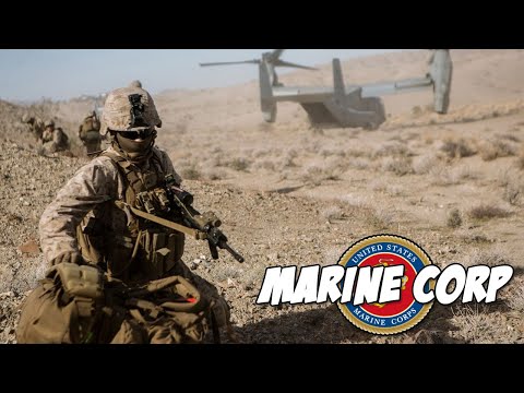La Cadena De Mando Del Cuerpo De Marines De Los Estados Unidos