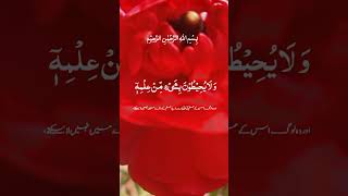 aytul kurase hart teaching telawat beautiful voice of aytul kurase ايةلكرس