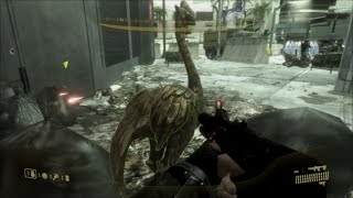 What Happens If An AI Shoots At The Golden Moa Statues? Does Halo MCC Still Count It?