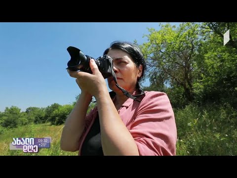 #ახალიდღე დროის გაჩერება - ისტორიის ერთ კადრში ასახვა - ნათელა გრიგალაშვილის პროფესია - ფოტოგრაფი