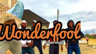 Wonderfool by broda shaggi