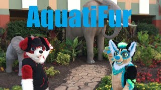 AquatiFur - New Furry Convention!