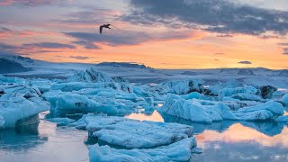 2021/10/29 COP26 Climate Summit in Glasgow