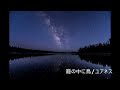 【囁き】【睡眠用】籠の中に鳥/ユアネス 歌ってみた【ASMR】