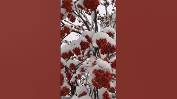 ولدار الأخرة خير للذين اتقوا أفلا تعقلون # القرآن الكريم # جوهرة القرآن