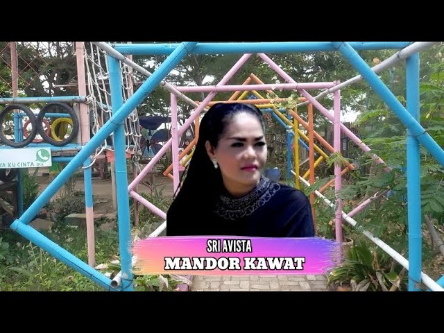 MANDOR KAWAT ( sri avista ) LAGU TARLING PANTURA // CIREBON INDRAMAYU class=