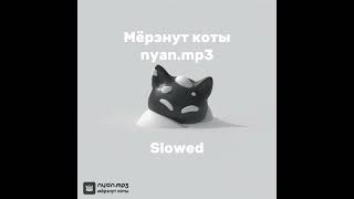 Мёрзнут коты - nyan.mp3 (Slowed)