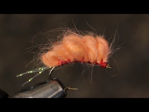 Sucker Spawn