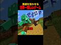 その後村人はメスになったのでした#shorts #マイクラ #マインクラフト #minecraft #海外和訳