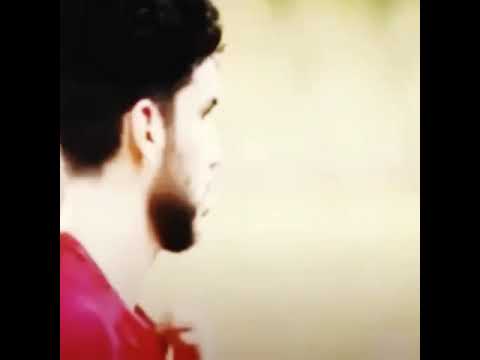 ميوزكلي فورتيكه وحته كده من اللبوه وليده ازارو المخنث