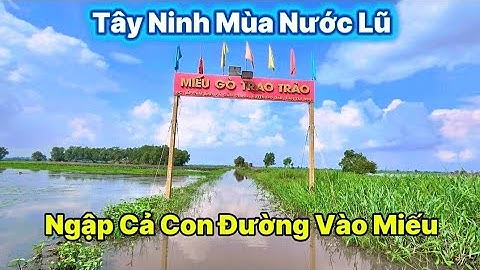 Nước Sông Vàm Cỏ Đông Tràn Vào " Mùa Nước Lũ Tây Ninh " Ngập Cả Đường Vào Miếu
