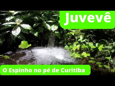 BAIRROS DE CURITIBA