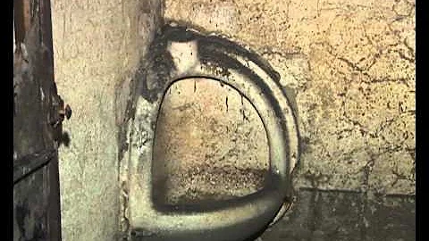 Perché i bagni pubblici si chiamano vespasiani?
